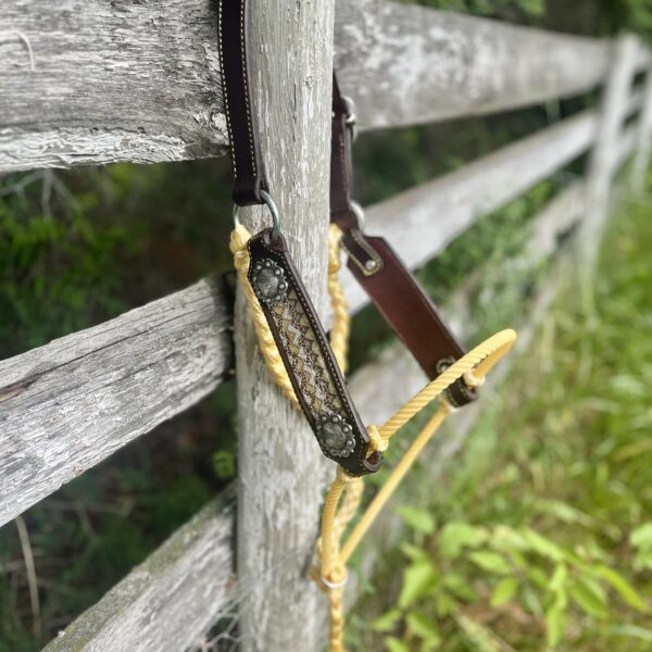 Yellow Hybrid Halter