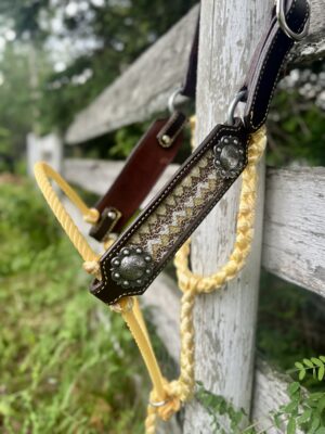 Yellow Hybrid Halter - Image 2